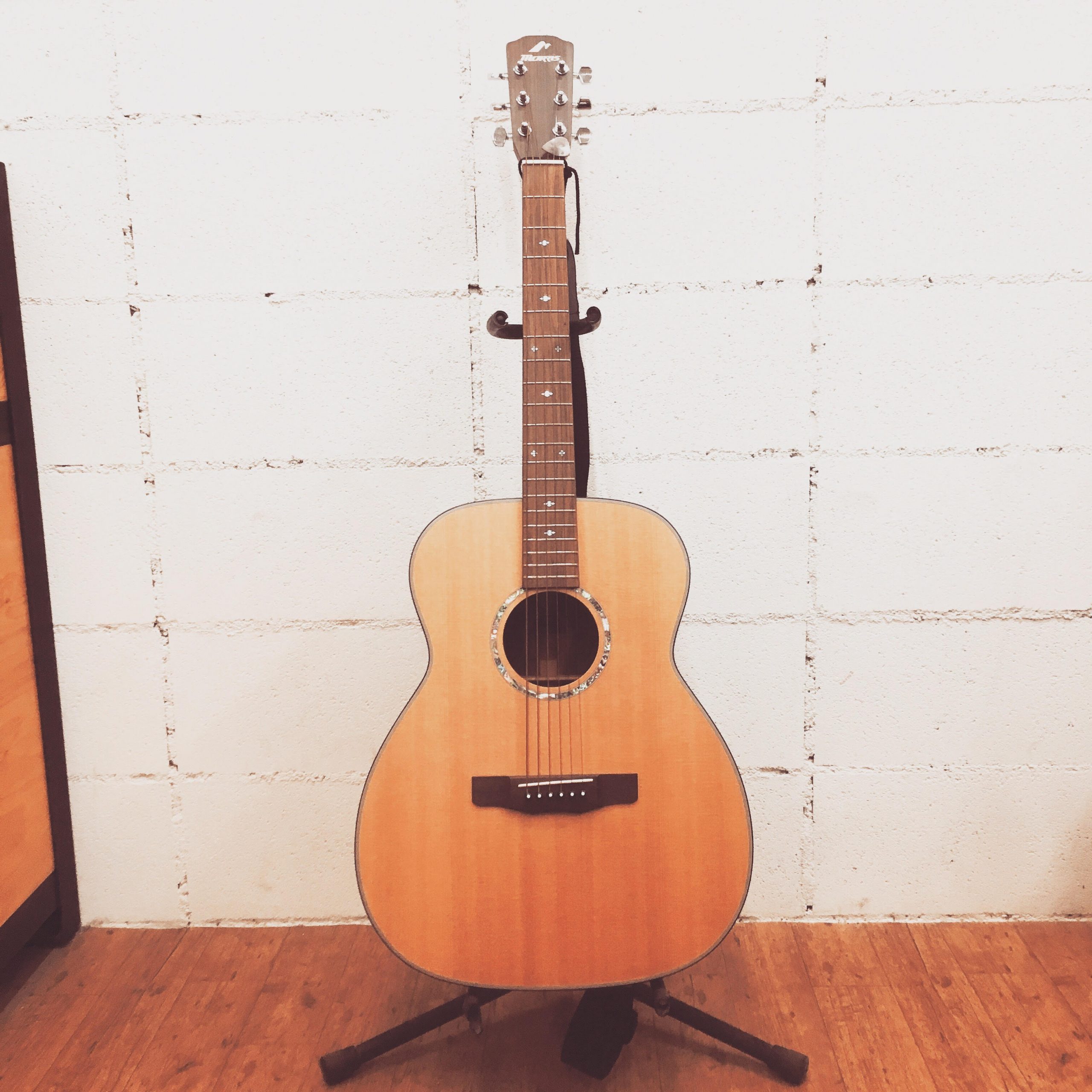 【アコースティックギター MORRIS MF 801 入荷!!】中古楽器新入荷情報！ – General Record Store